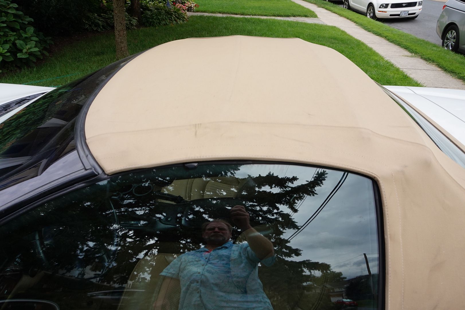 Mold/Mildew stained Tan convertible top wont clean up Help Page 6